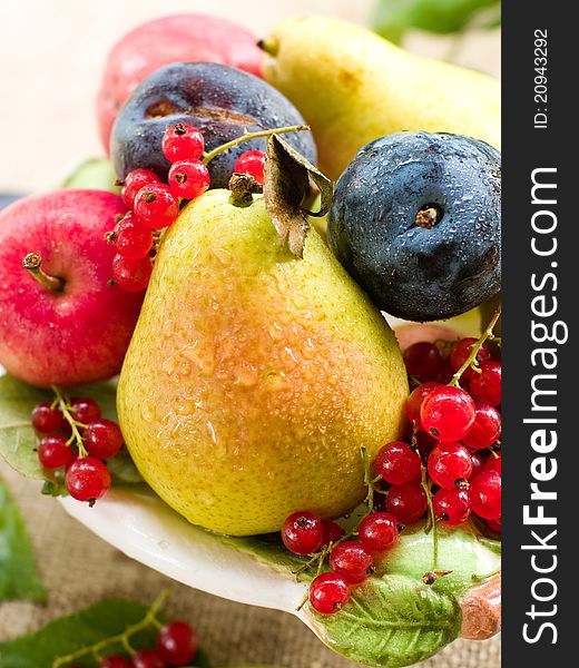 Fresh ripe pears, plums, red currant and apples in bowl on natural background. Selective focus. Fresh ripe pears, plums, red currant and apples in bowl on natural background. Selective focus