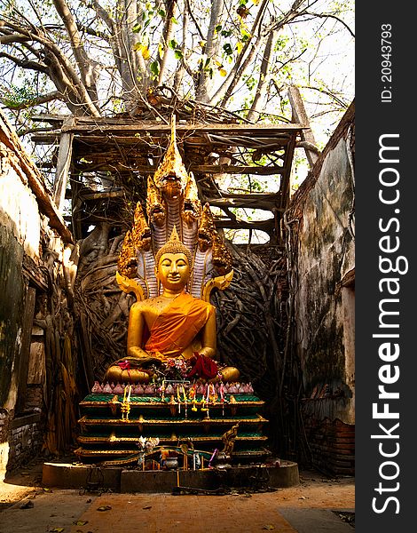 Ancient buddha statue in ruin temple of Thailand