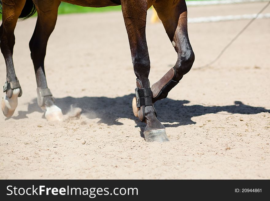 The hooves of horse running through send