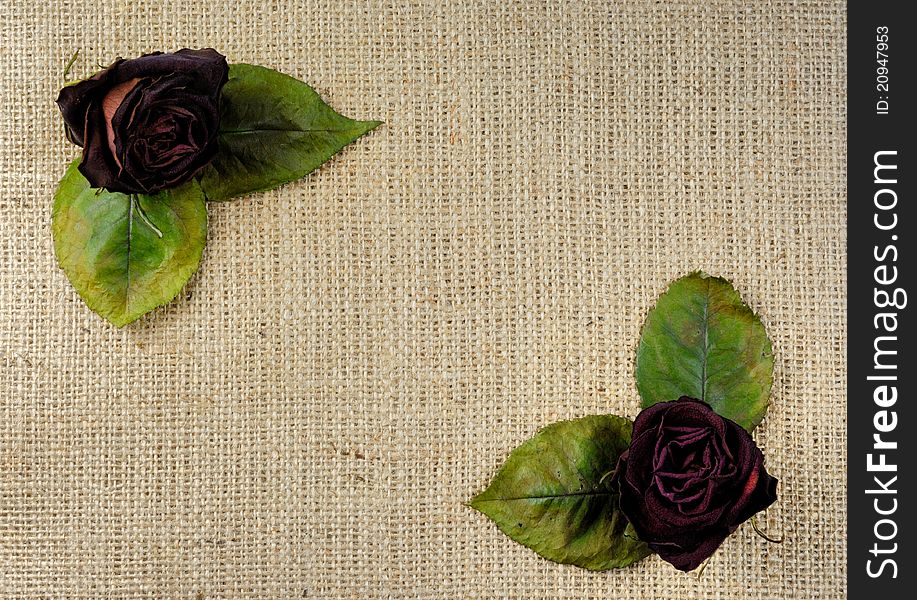 Pattern of red wilted roses dried flowers on burlap fabric background. Pattern of red wilted roses dried flowers on burlap fabric background