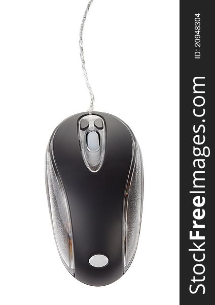 Computer Mouse On White