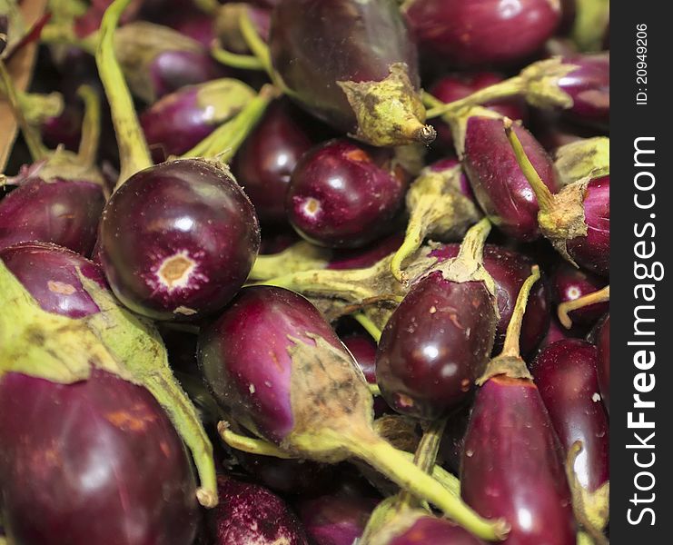 Freshly picked eggplants a healthy choice to eating better