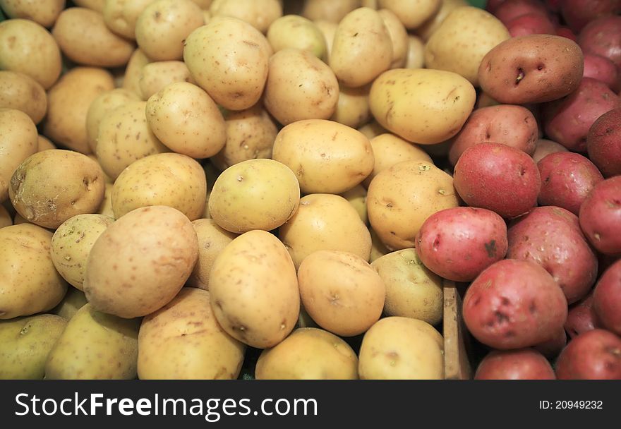 Red and white potatoes ready for the consumer. Red and white potatoes ready for the consumer