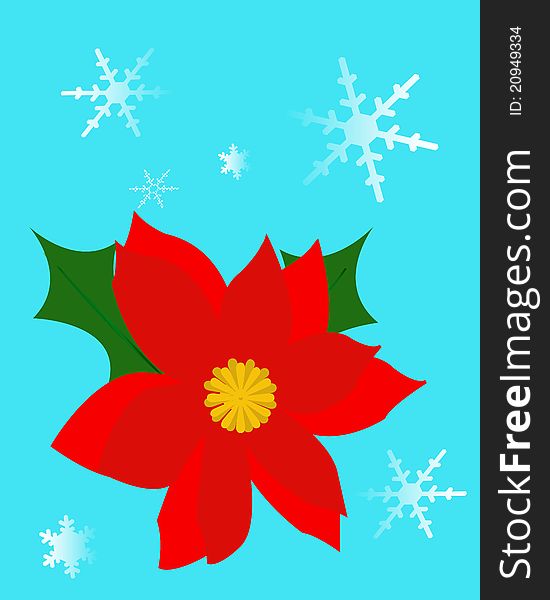 Large red poinsettia and snowflakes  on blue background. Large red poinsettia and snowflakes  on blue background