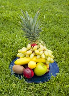 Pile Of Fresh Exotic Fruits In Grass Stock Image Pile Of Fresh Exotic Fruits In Grass Stock Image