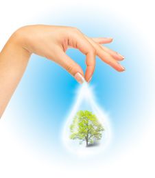 Drop Of Water With Tree Inside And Human Hand Stock Images Drop Of Water With Tree Inside And Human Hand Stock Images