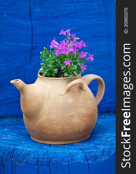 Kettle with flowers on blue wood