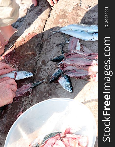 Fisherman fillets a bowl of fresh mackerel
