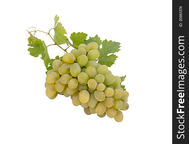 Bunch of fresh grapes and leaves isolated on white