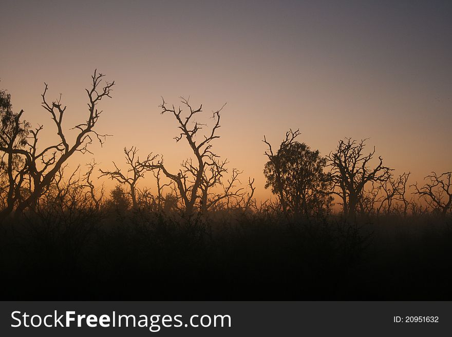 Sunrise in the savanna.
National park in Swaziland. Sunrise in the savanna.
National park in Swaziland.