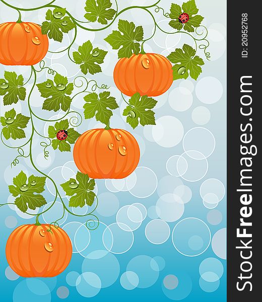 Abstract background with a pumpkin. Vector illustration.