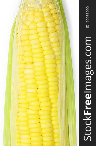 sweet Corn on white background