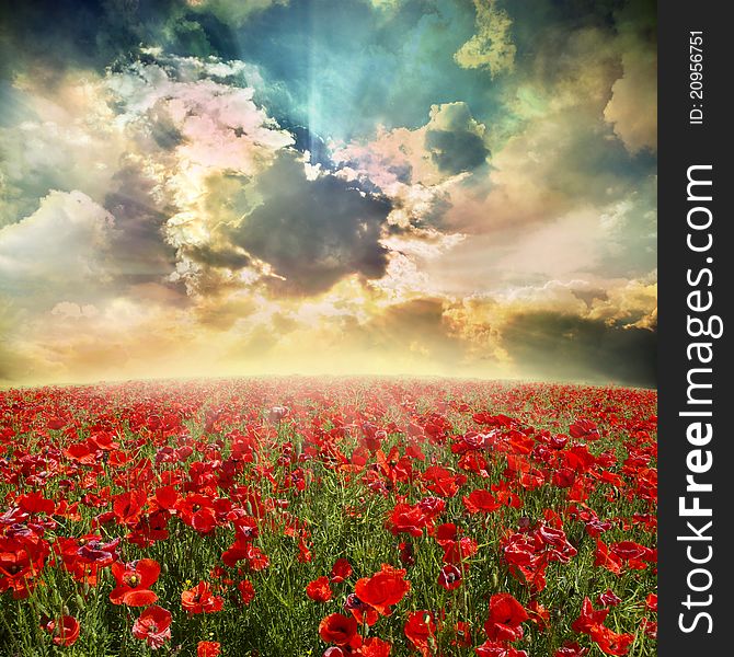 Red poppies on green field, sky and clouds. Red poppies on green field, sky and clouds