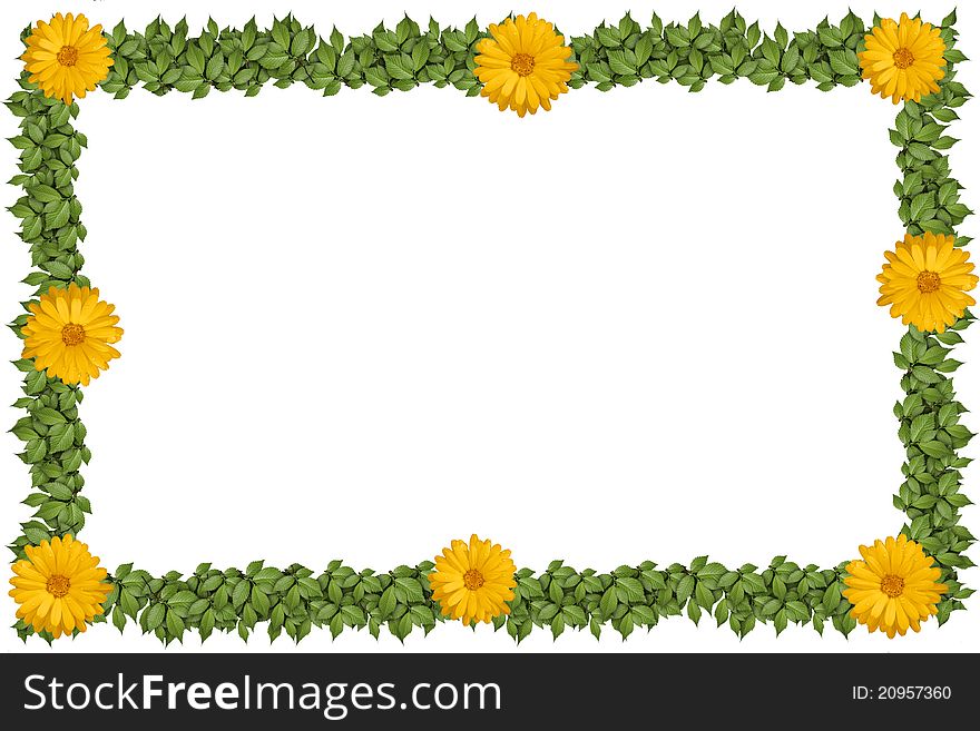 Green plant frame with flowers, on white