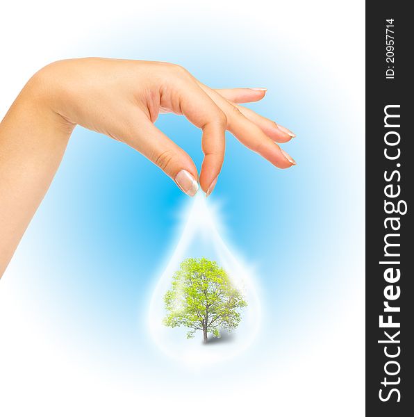 Drop of water with Tree inside and human hand. The symbol of Save Green Planet