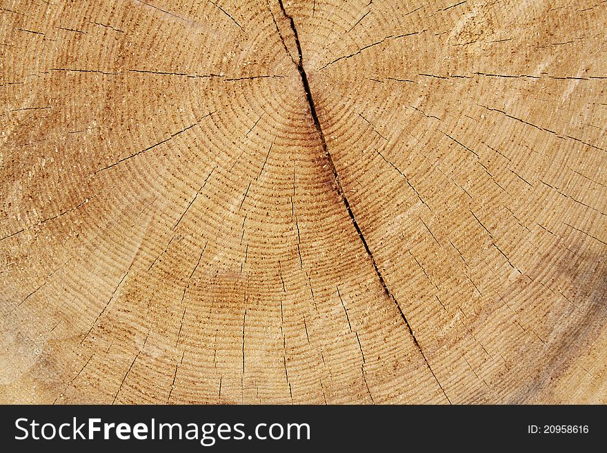 Cracked wooden background, natural surface