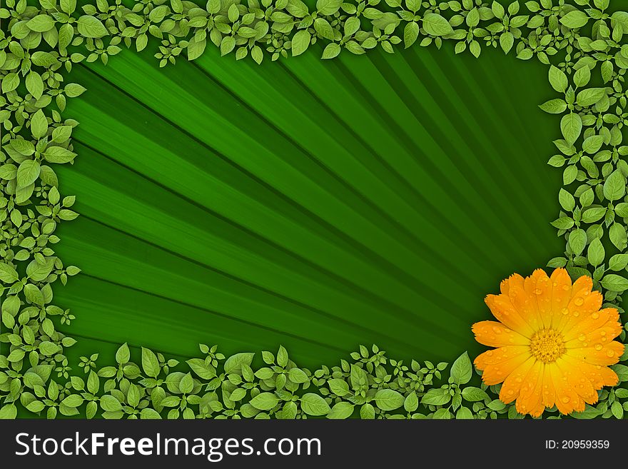 Green leaf and flower, natural background. Green leaf and flower, natural background.