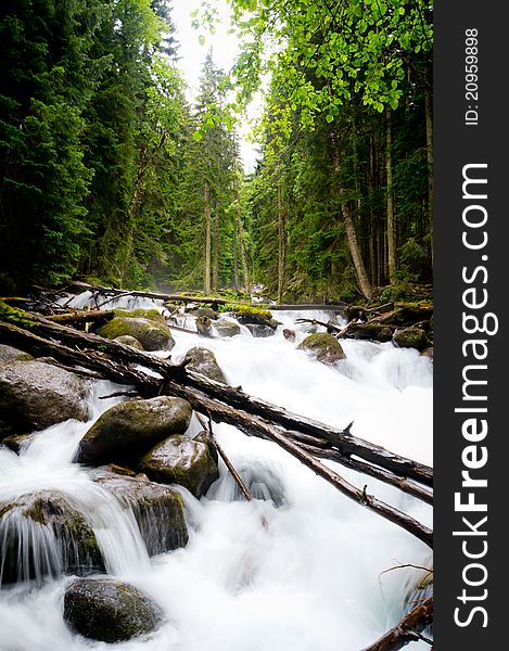 Extreme Falls in wood, the mountain river