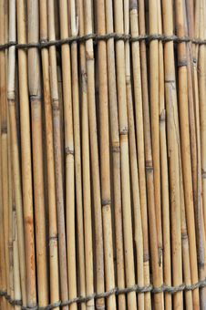 Bamboo Fence Stock Photography