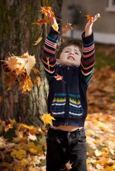 Little Boy Playing In Leaves Stock Image Little Boy Playing In Leaves Stock Image