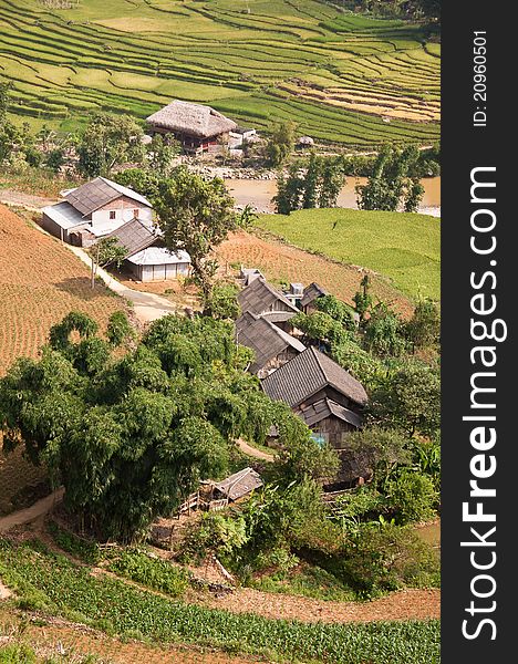 Village houses peacefully resting in provincial meadows, fields and rice-terraces of Sapa, Vietnam. Village houses peacefully resting in provincial meadows, fields and rice-terraces of Sapa, Vietnam.