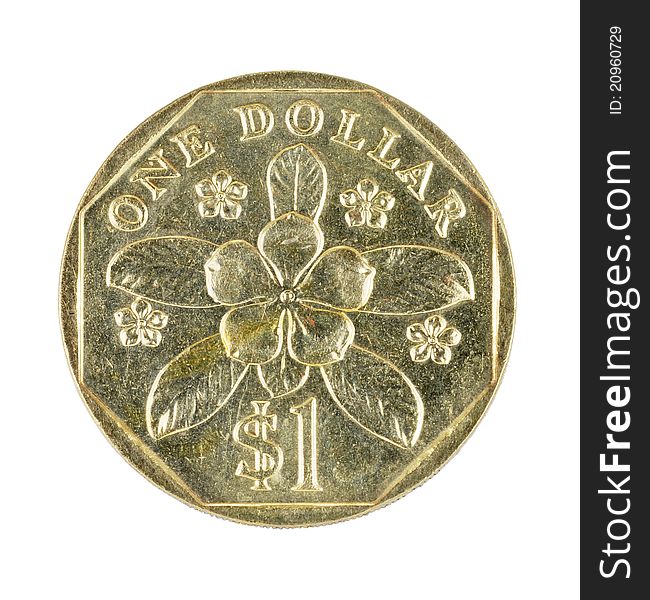 Singapore currency. One dollar coin featuring the Lochnera rose. Isolated on a white background. Money. Singapore currency. One dollar coin featuring the Lochnera rose. Isolated on a white background. Money.