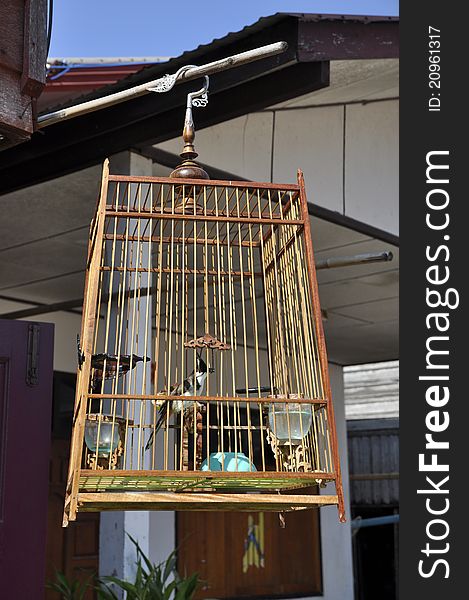 Basic bird cage made â€‹â€‹of wood. Commonly found. Basic bird cage made â€‹â€‹of wood. Commonly found.