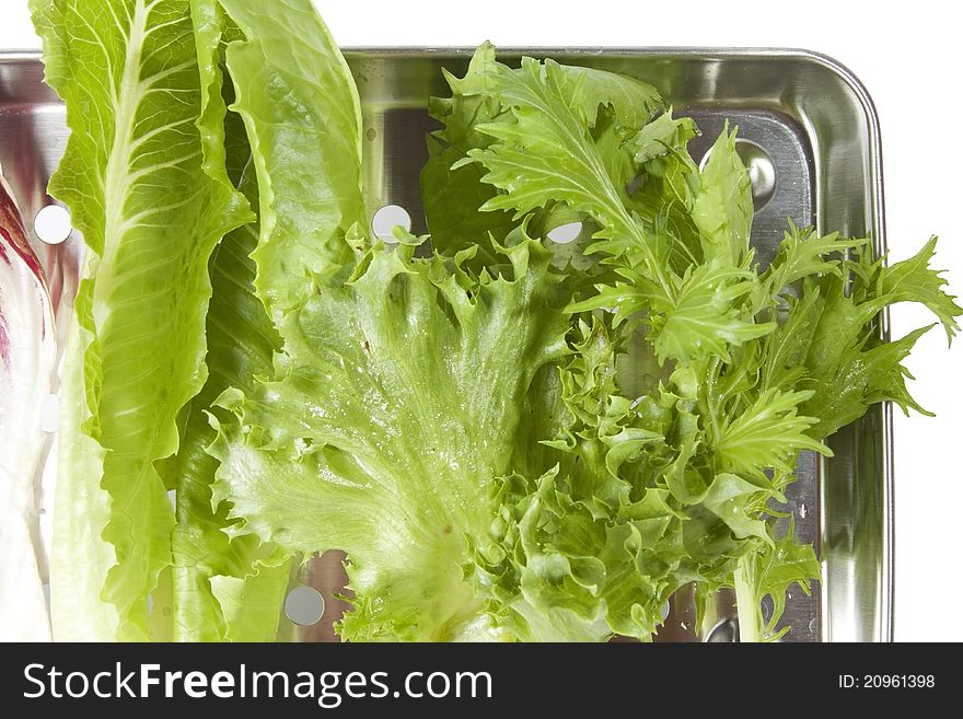 Salad, fresh lettuce, raddichio and mizuna vegetable in tray.