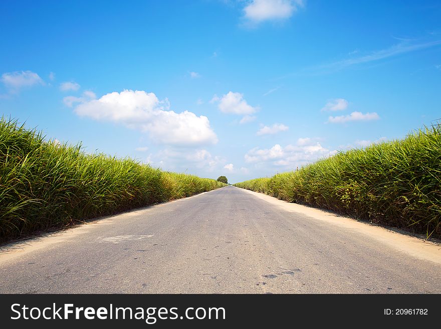 Country road on green field