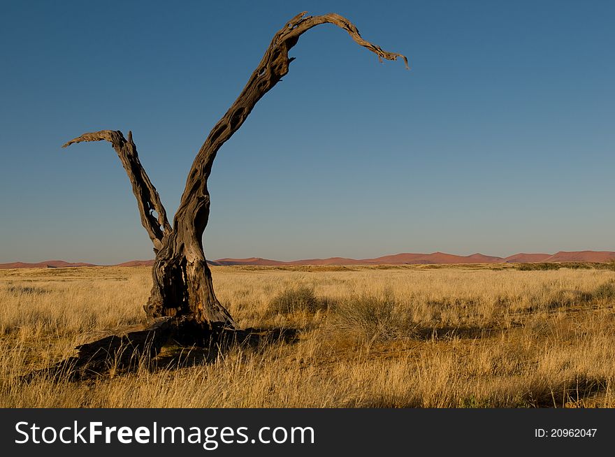 Naukluft Park in Namib Desert, Namibia