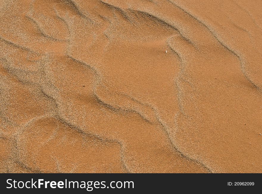 Close-up of a dune in Namib Desert. Close-up of a dune in Namib Desert