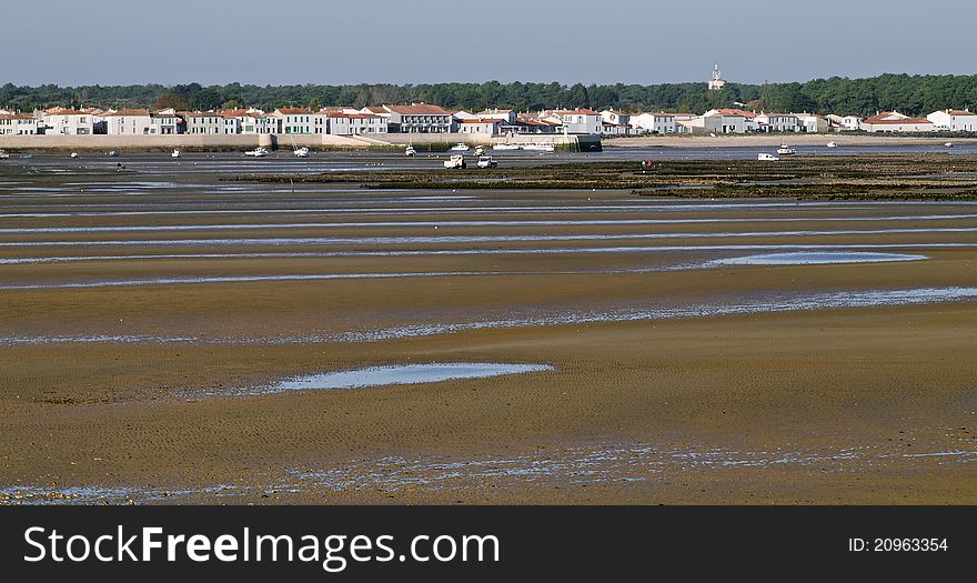 Oyster Field At Low Tide