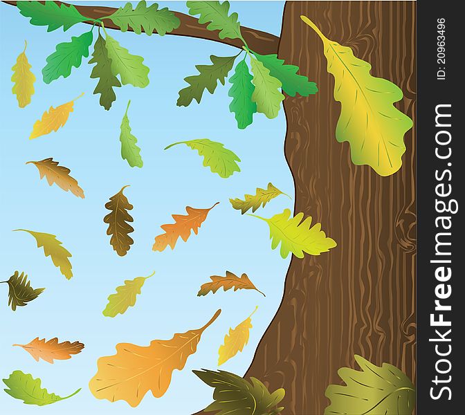 Falling down oak leaves. Vector illustration