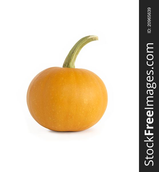 Halloween symbol. Pumpkin on white background. Isolated with clipping path