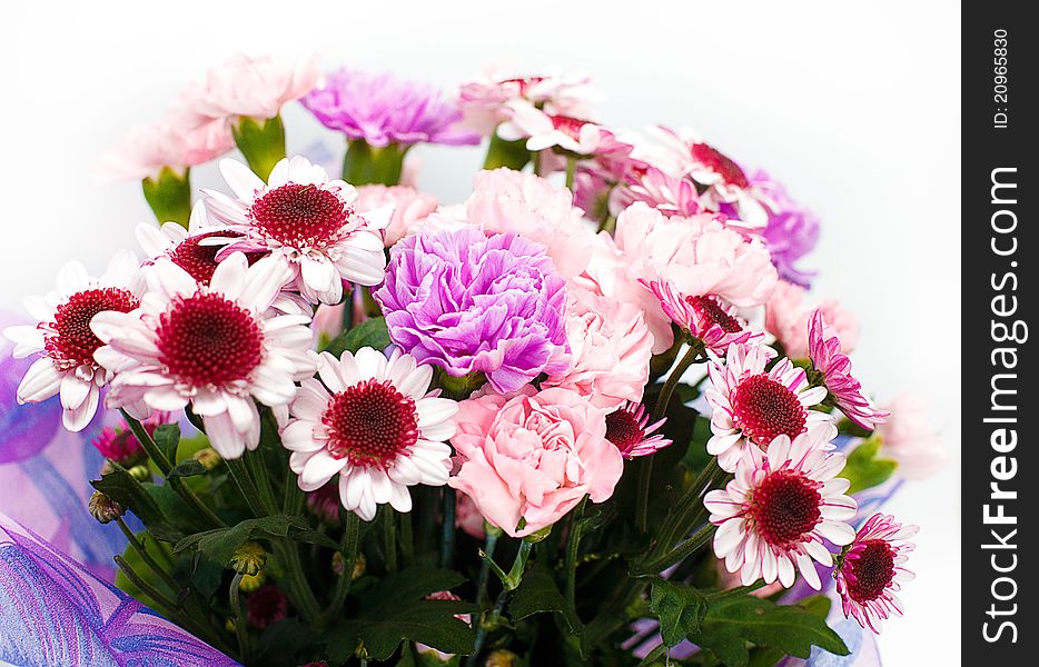 Bunch of pink flowers on white background