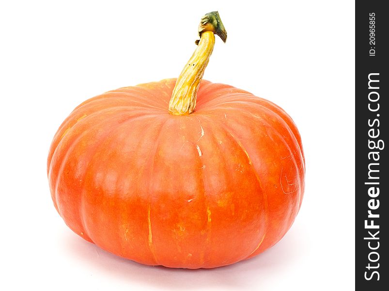 Big orange Pumpkin isolated on white background. Big orange Pumpkin isolated on white background