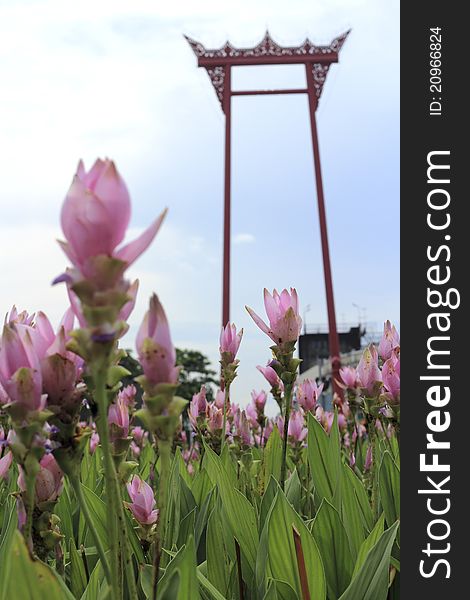 Pink flowers and the Giant Swing in Bangkok