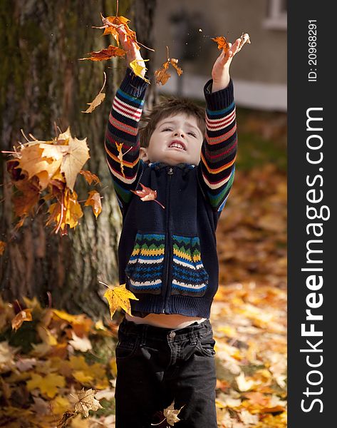 Little boy playing in leaves at fall time
