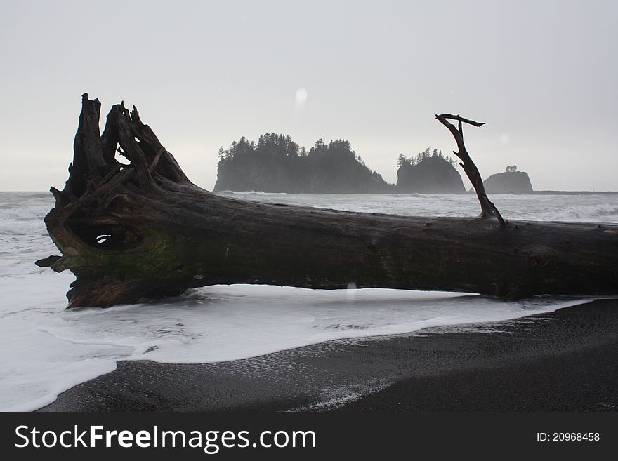 La Push Beach, Washington State