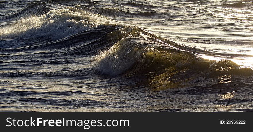 Sea Wave Texture