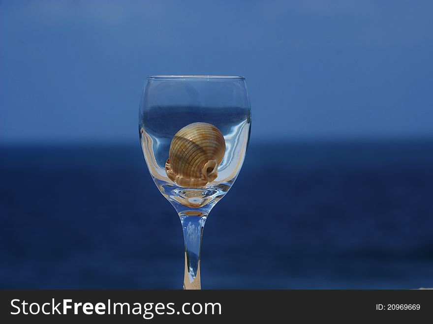 A close up of a sea shell inside of glass of wine with a reflection of the sea and sky. A close up of a sea shell inside of glass of wine with a reflection of the sea and sky