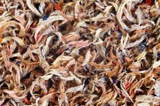 Shavings From Pencils Royalty Free Stock Images