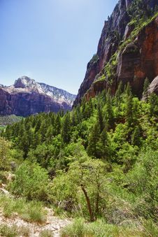 Valley In The Zion Canyon National Park, Utah Royalty Free Stock Photo