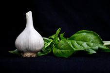 Garlic And Basil Stock Image