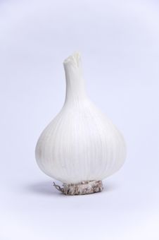 Garlic Stock Photos Garlic Stock Photos