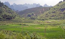 Mountain And Rice Fields Of Yangshuo. Stock Images Mountain And Rice Fields Of Yangshuo. Stock Images