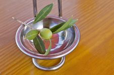 Olive Branch Stock Images Olive Branch Stock Images