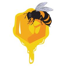 The Vector Bees And Honeycomb With Honey Stock Image