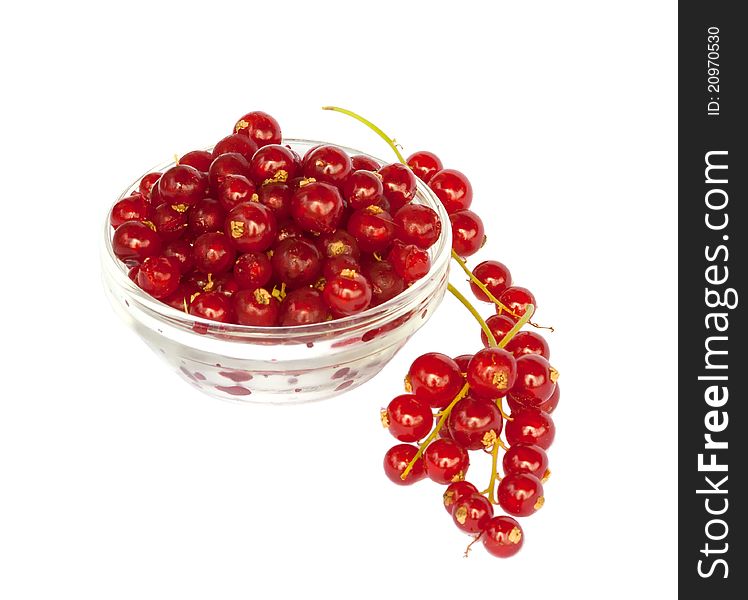 Glass bowl with fresh red currant, isolated on a white background. Glass bowl with fresh red currant, isolated on a white background