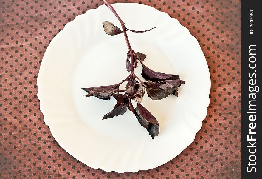 Basil on a white plate